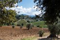 04 Abbazia di Sant'Antimo-8